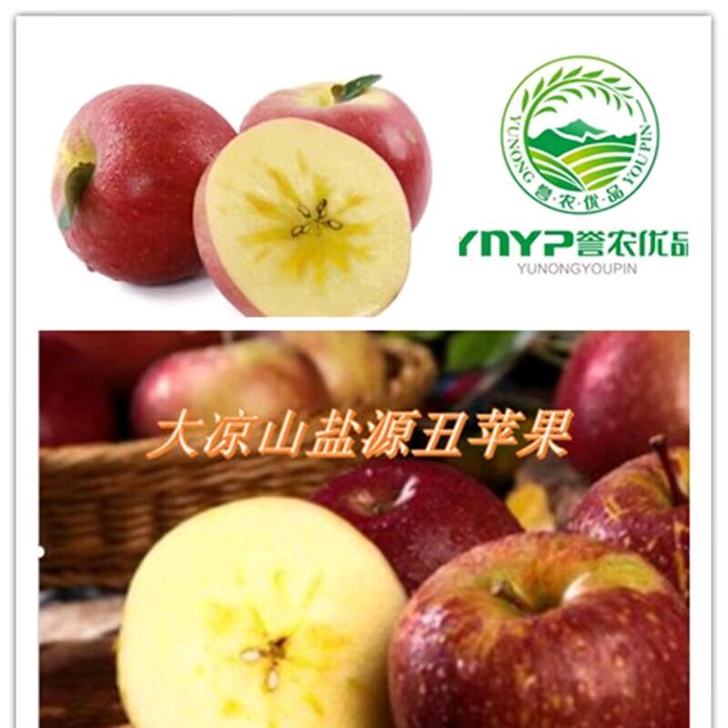 誉农优品成都誉农优品农业开发有限公司蔬菜制品专卖店