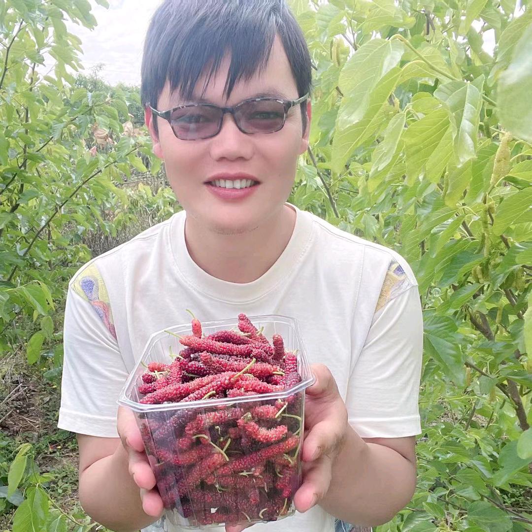 种桃人杨鑫