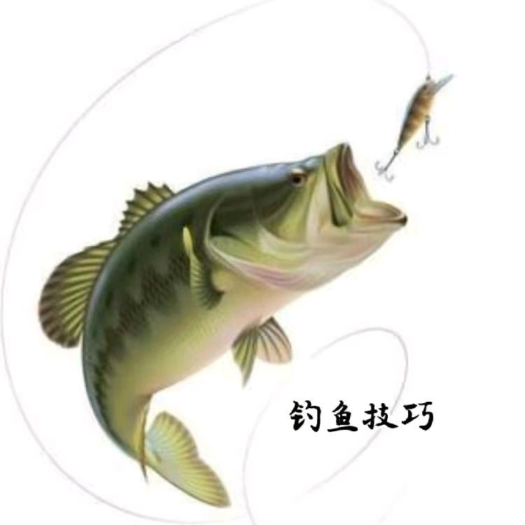 老鬼饵料-钓鱼技巧