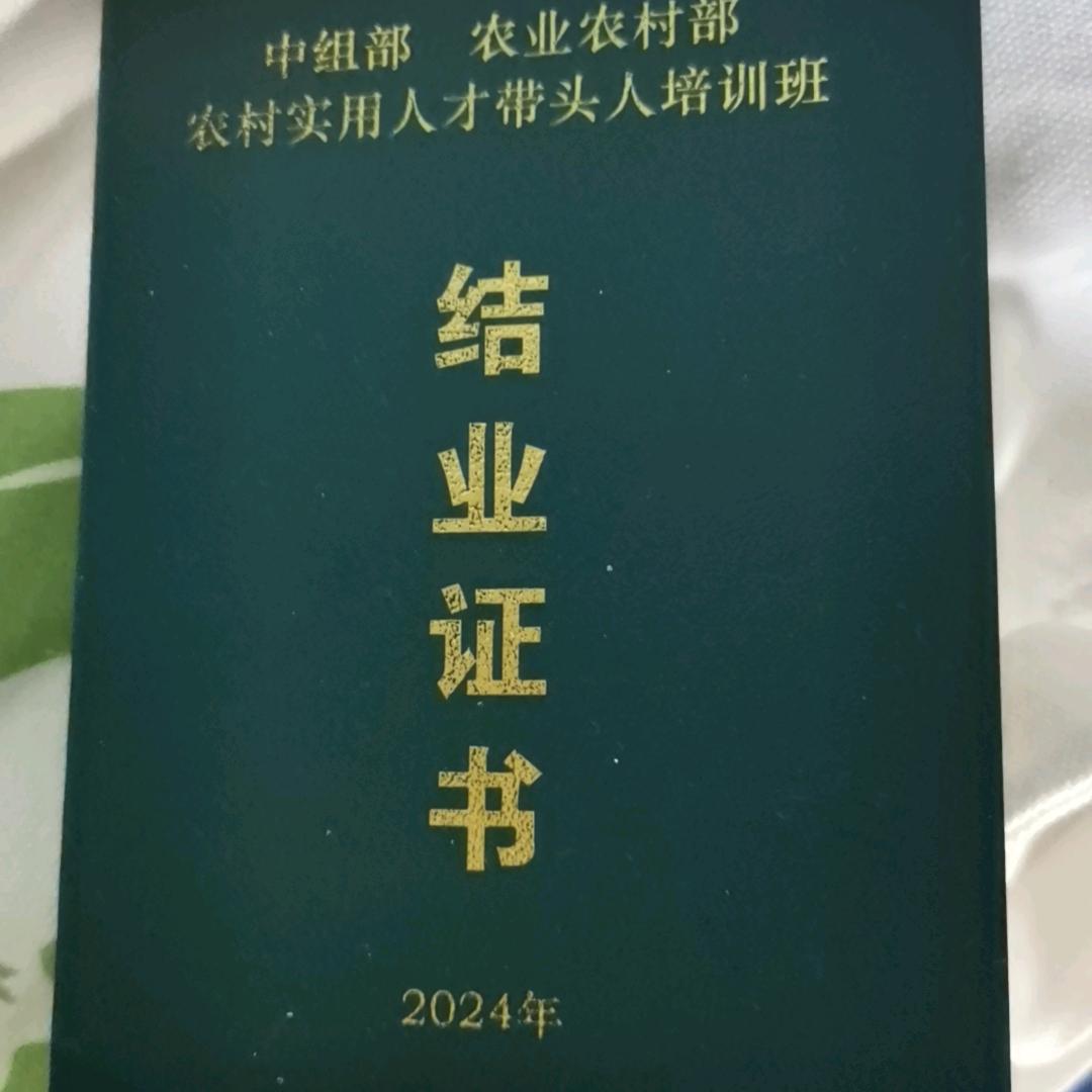 好人一生平安hscx