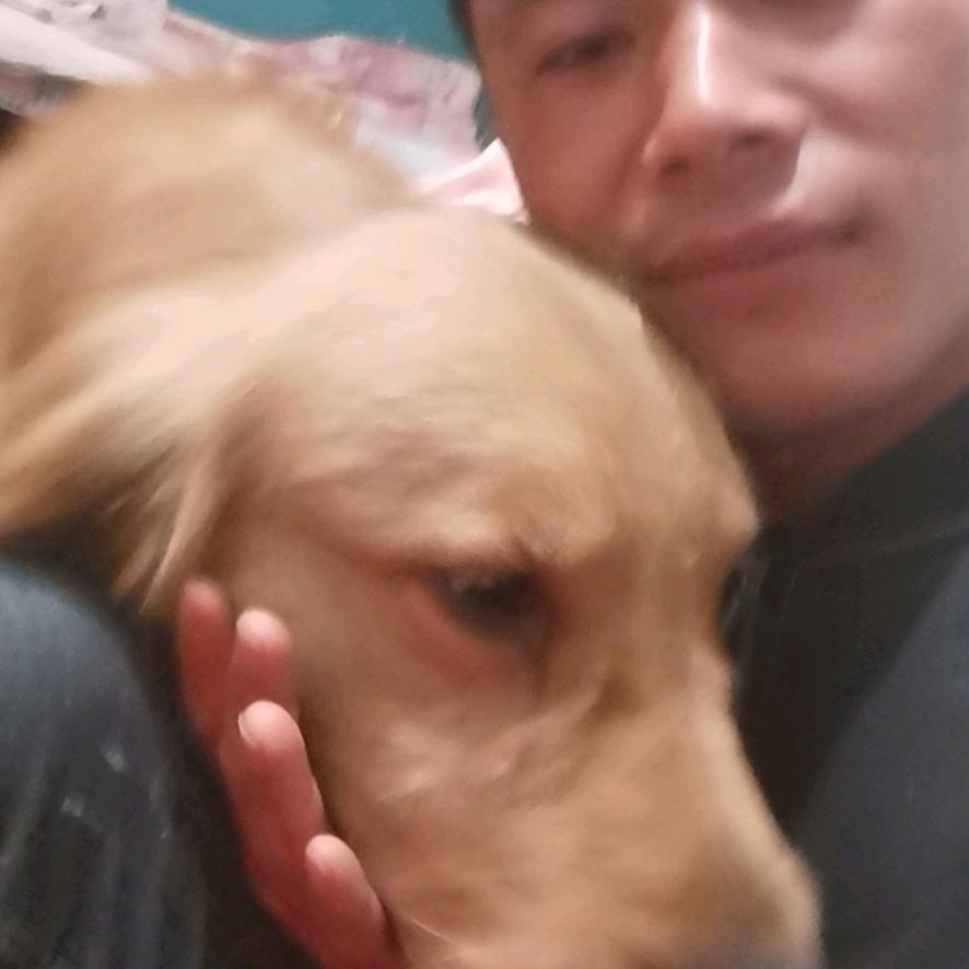 等着你（武松）
