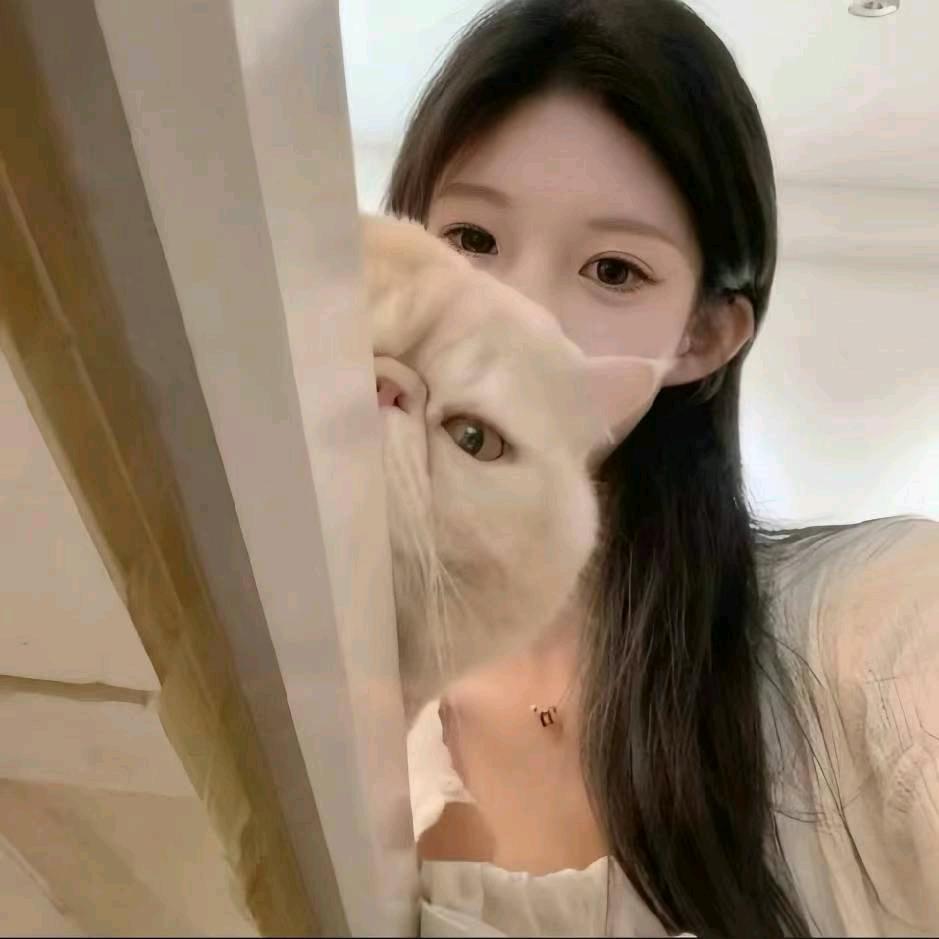 小8.
