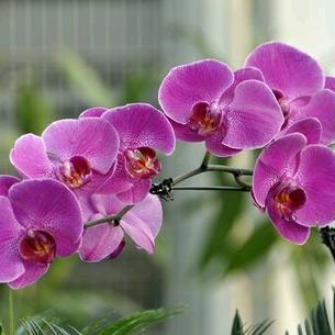 遥遥麻麻的头像