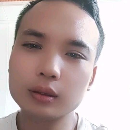 六马种植蜂糖李果园