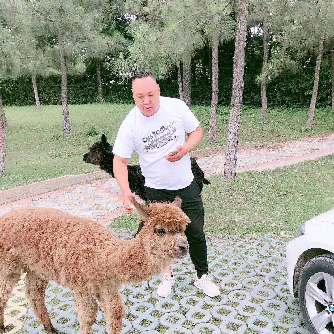 苏州蟋蟀园林