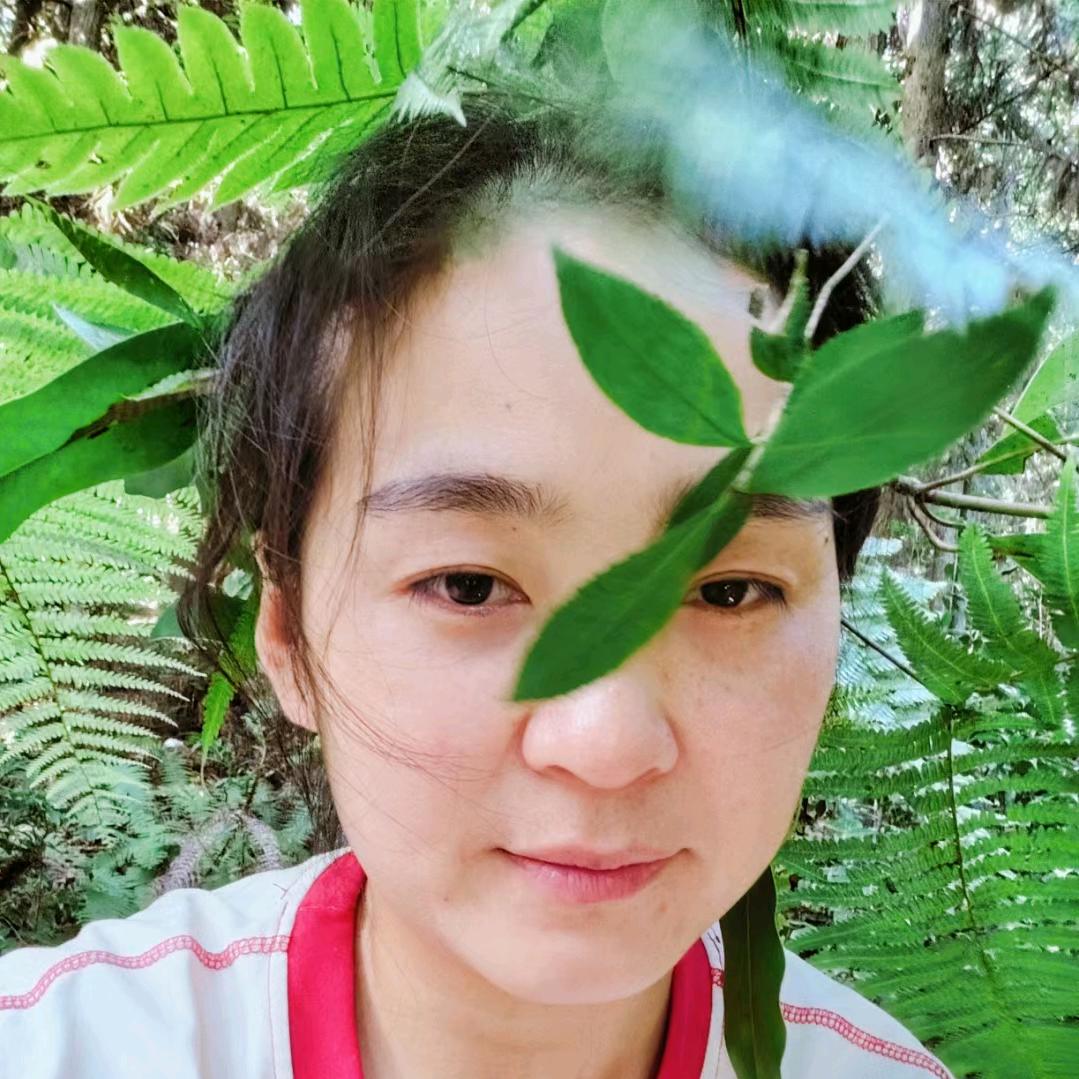 阿迪数学思维
