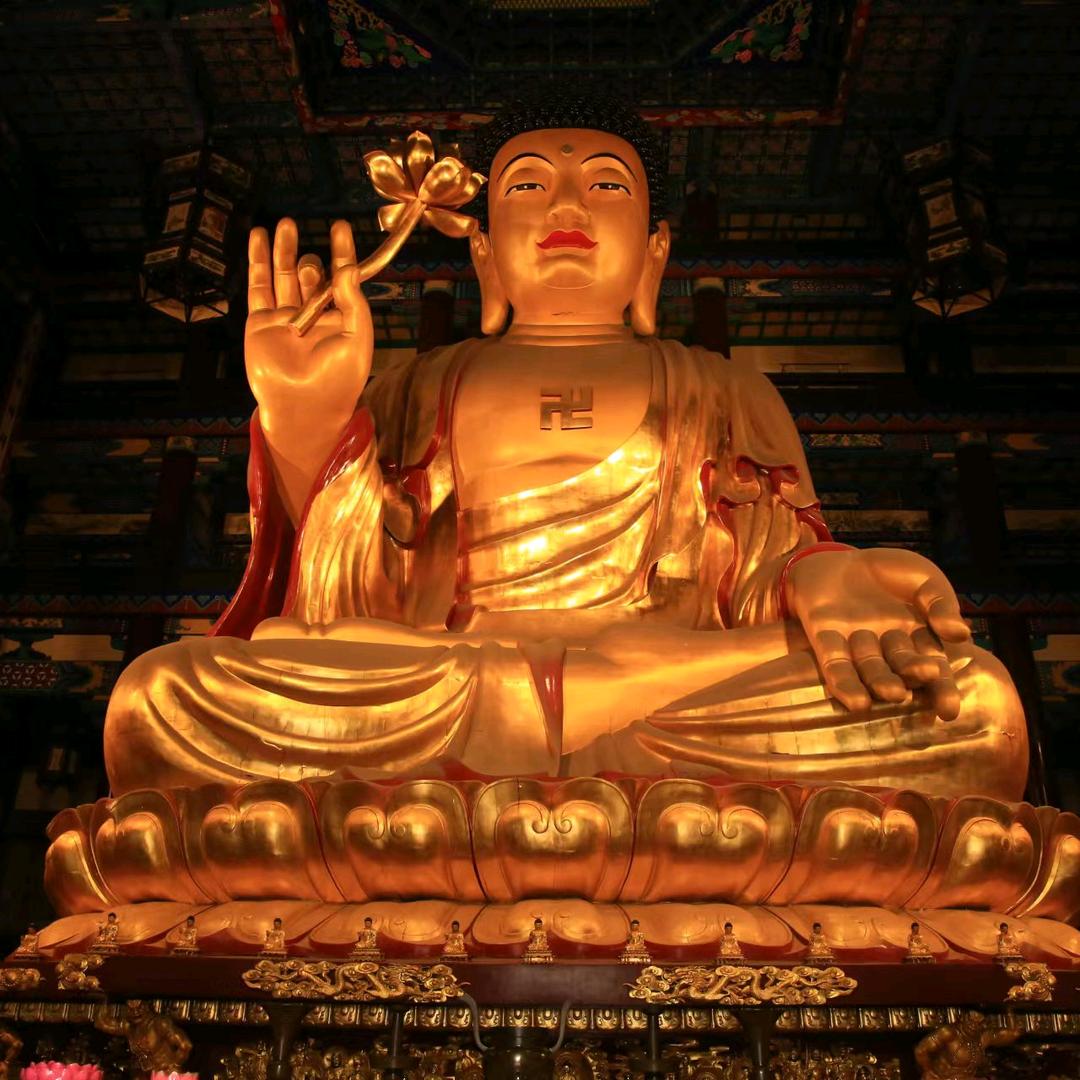 狼道主义