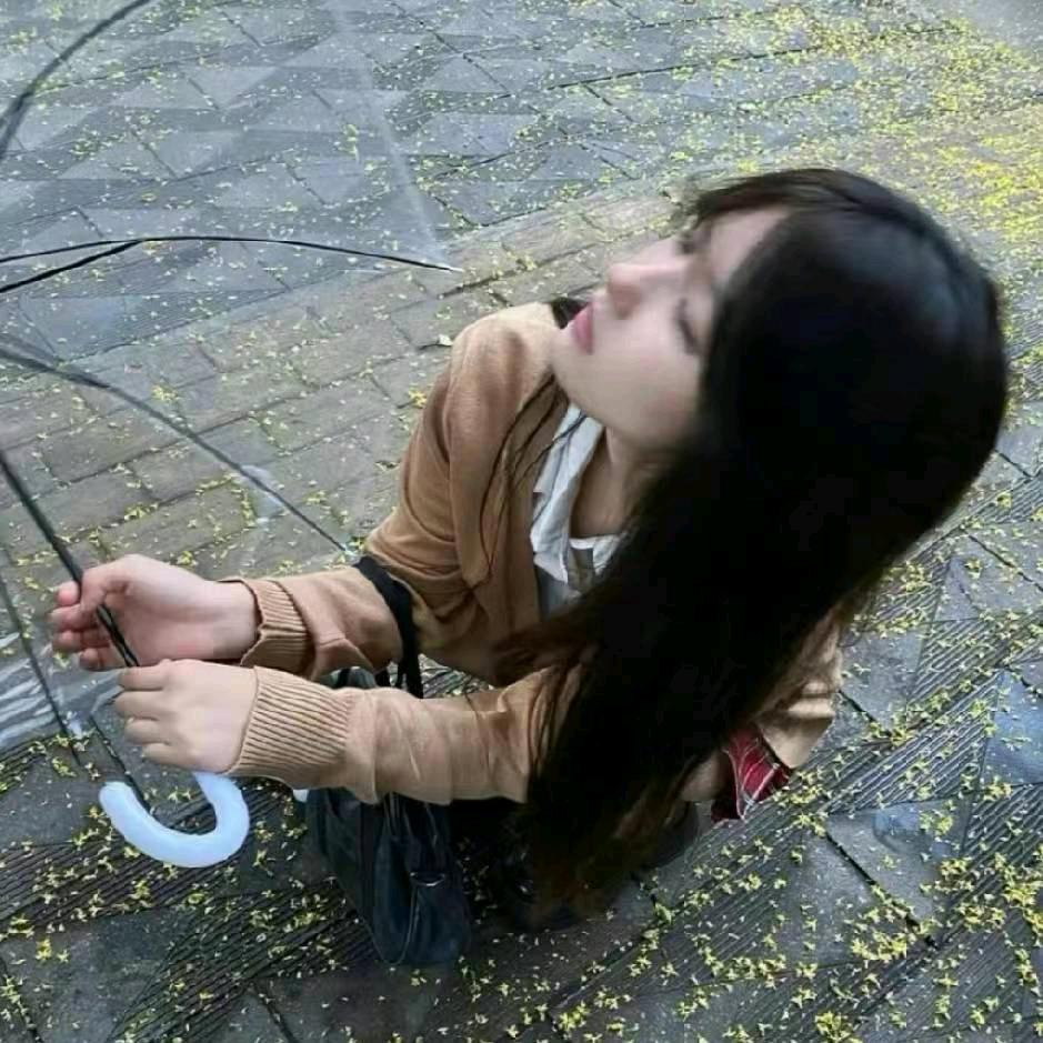 泡泡肥猫✧