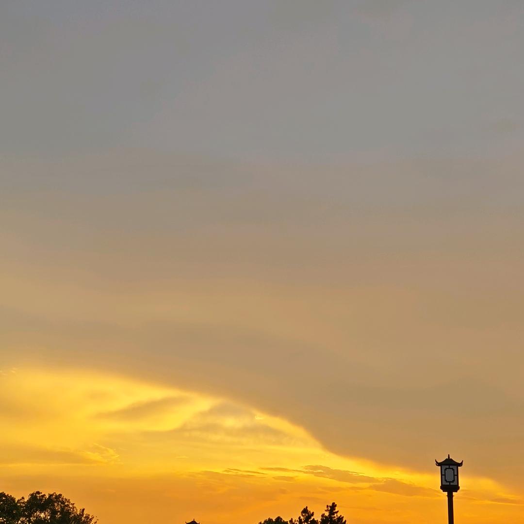 幸运🫰阳阳🌻🌻