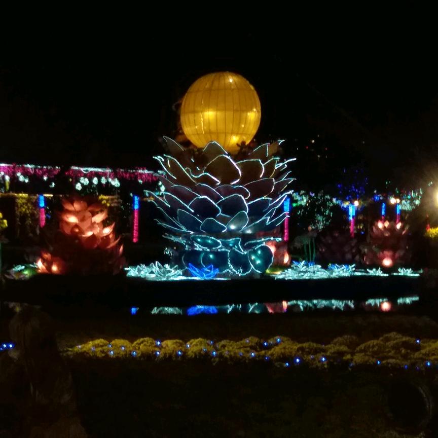 🎣野钓小王🎣🌈🐟