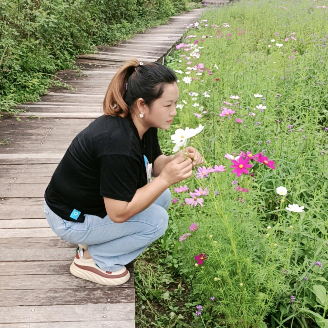 彩虹(橱窗好物)