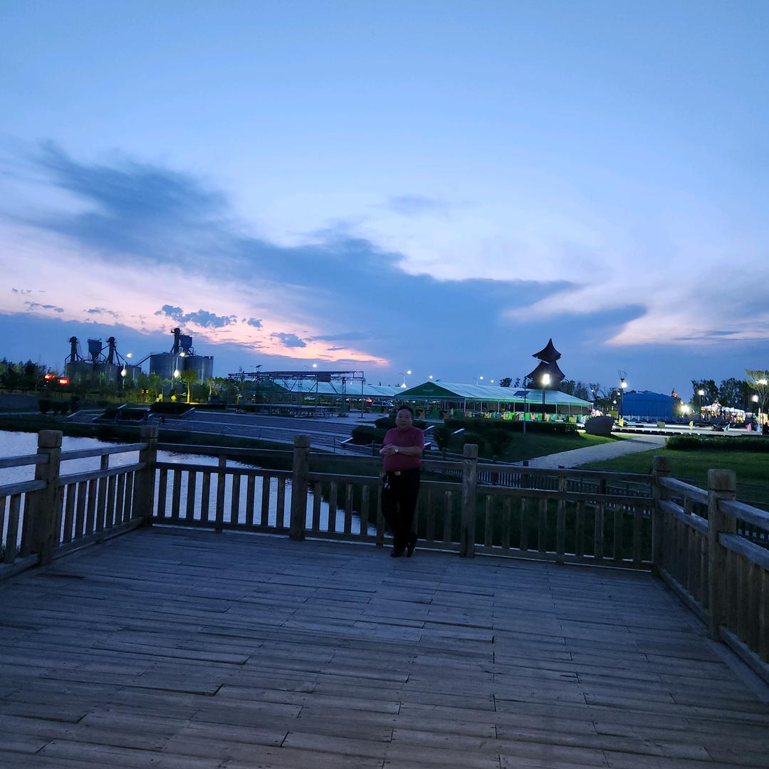 杨东民