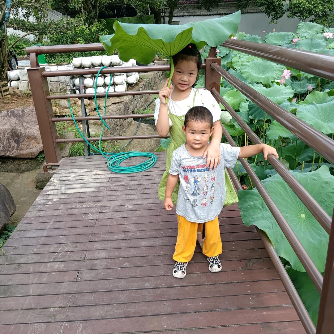 杨门女将