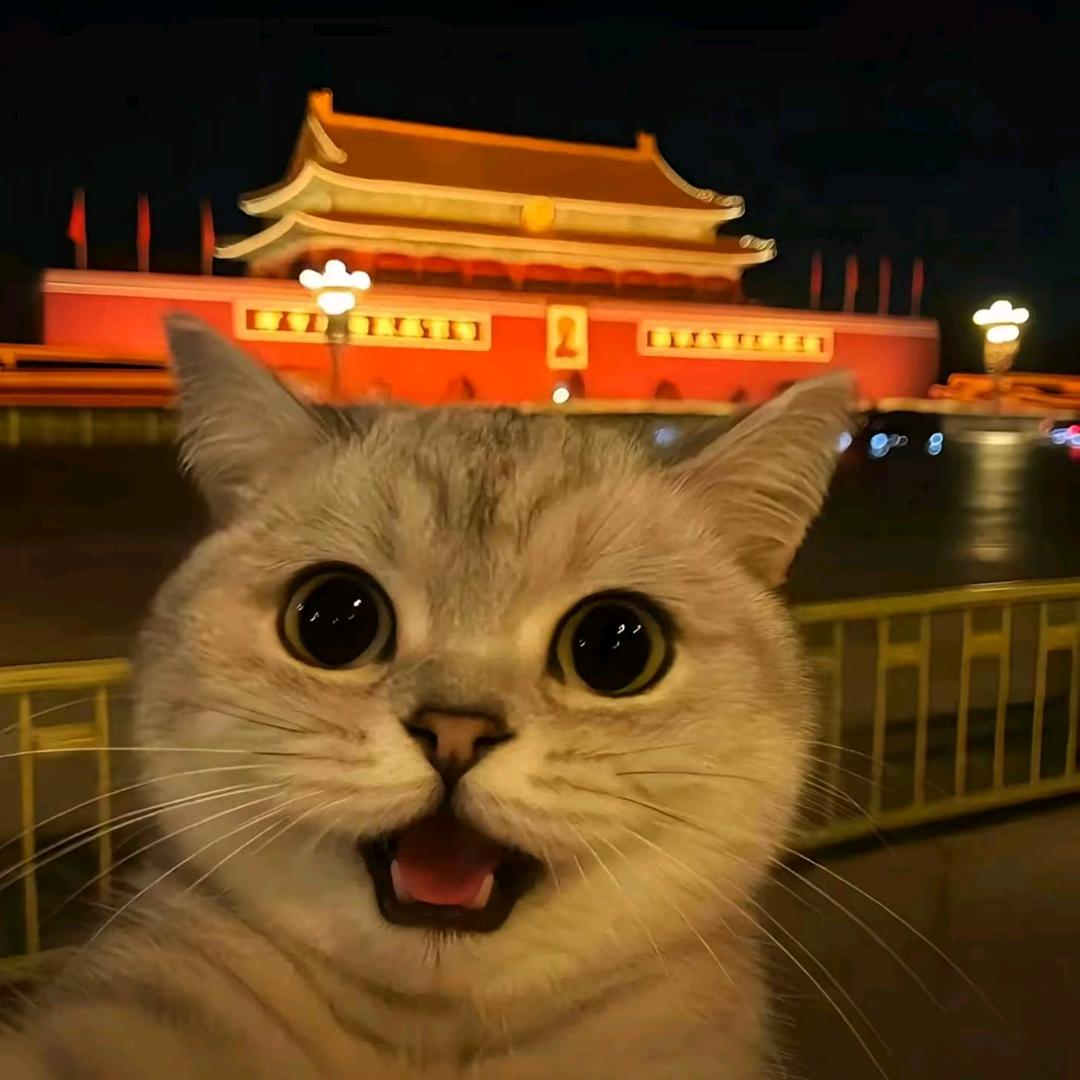 只惠
