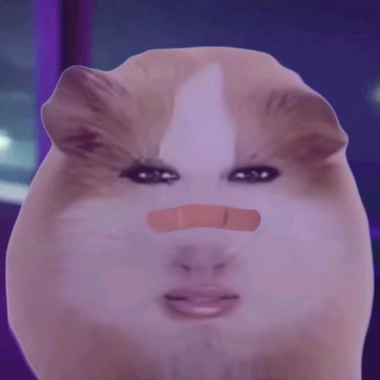 猪精转世（已黑化）
