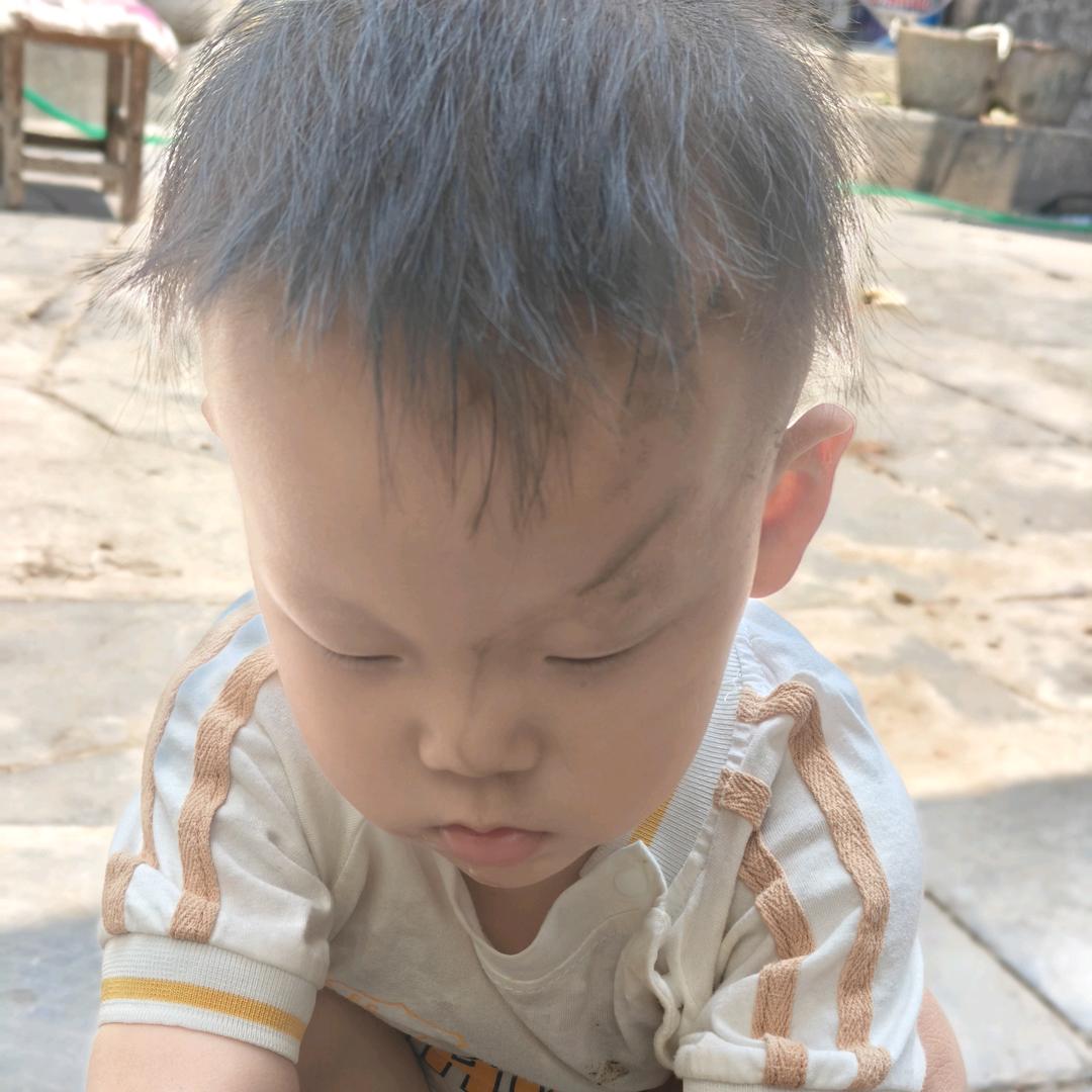 辰哥儿