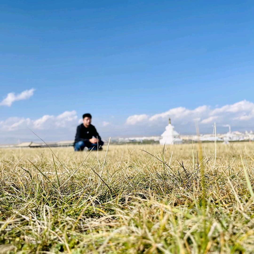 哒不劉           🕷