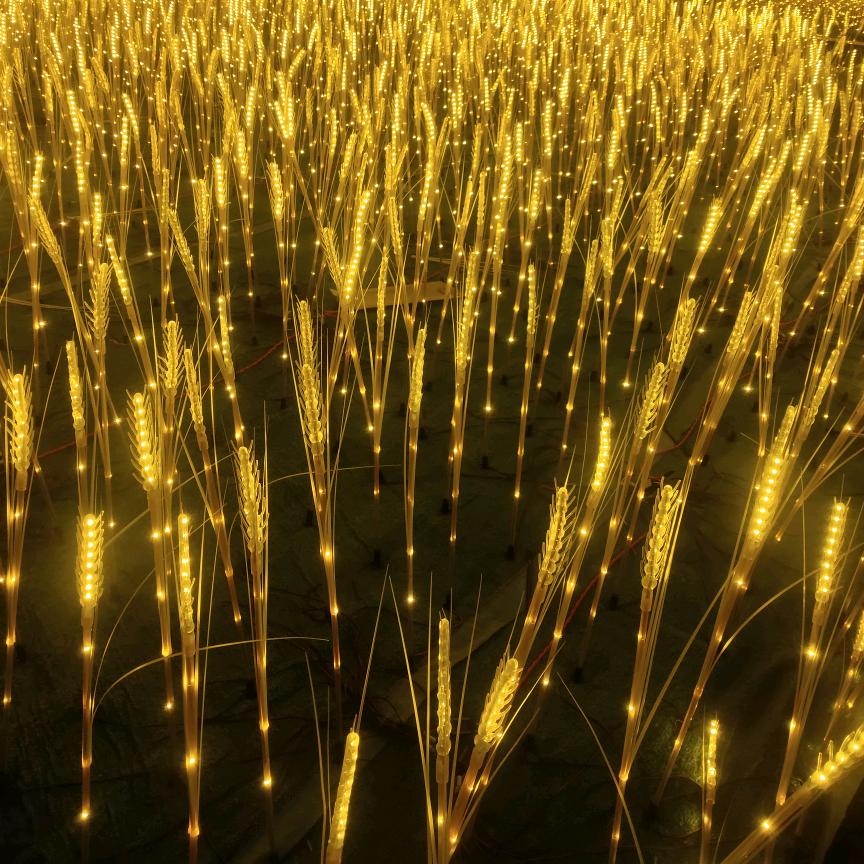 （时来运转）+多财多亿♛