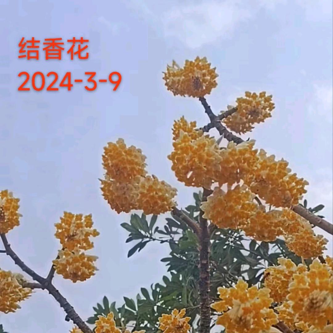 用户42592909208自渡