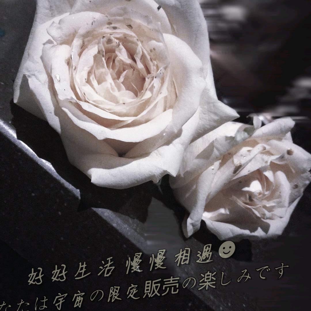最晚的遇见
