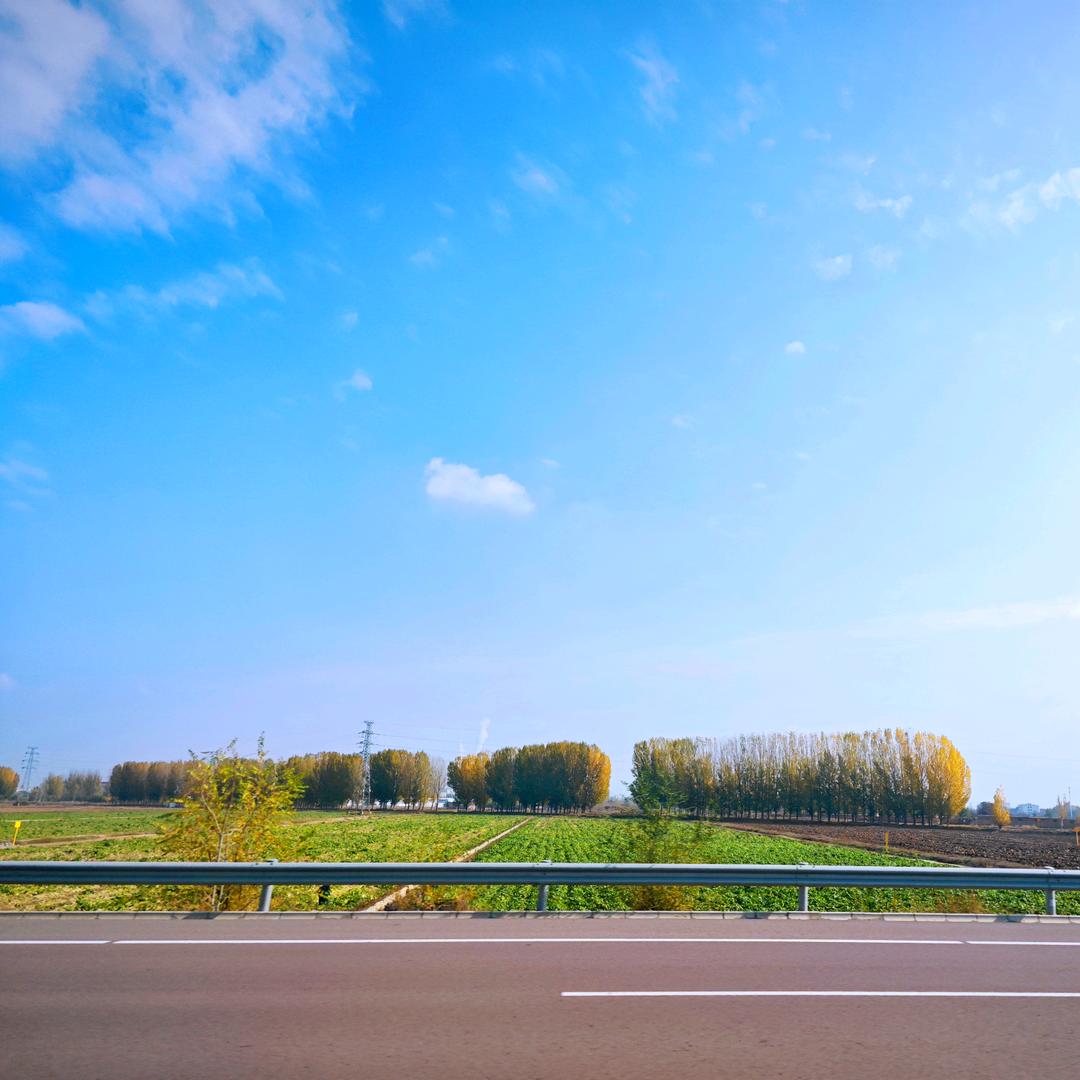 无花无酒的青春