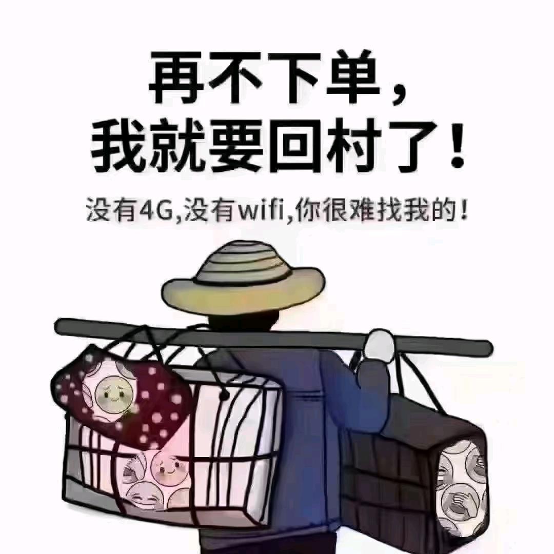 户外探野养生