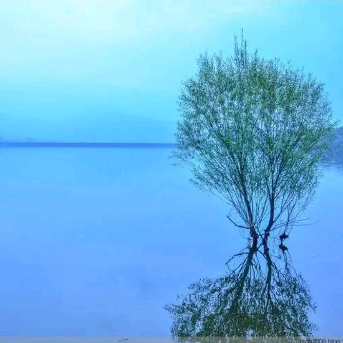 寒山秋水