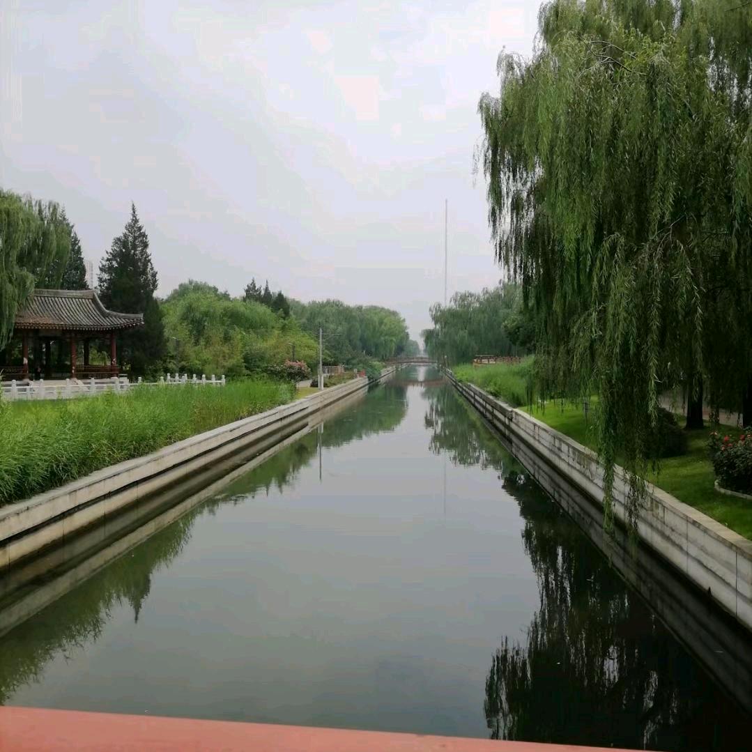 阿根廷