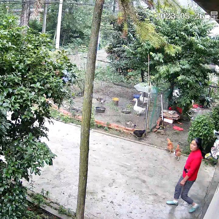 开心每一天！🌸