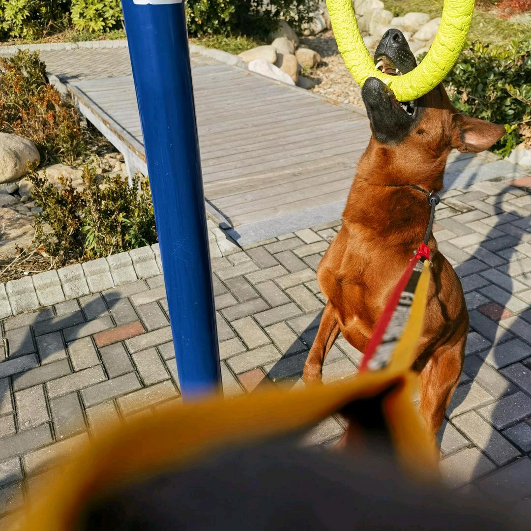 不做大哥好多年