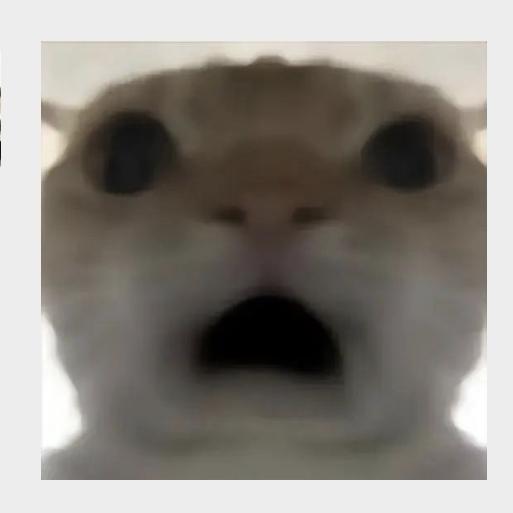 小辰猫meme