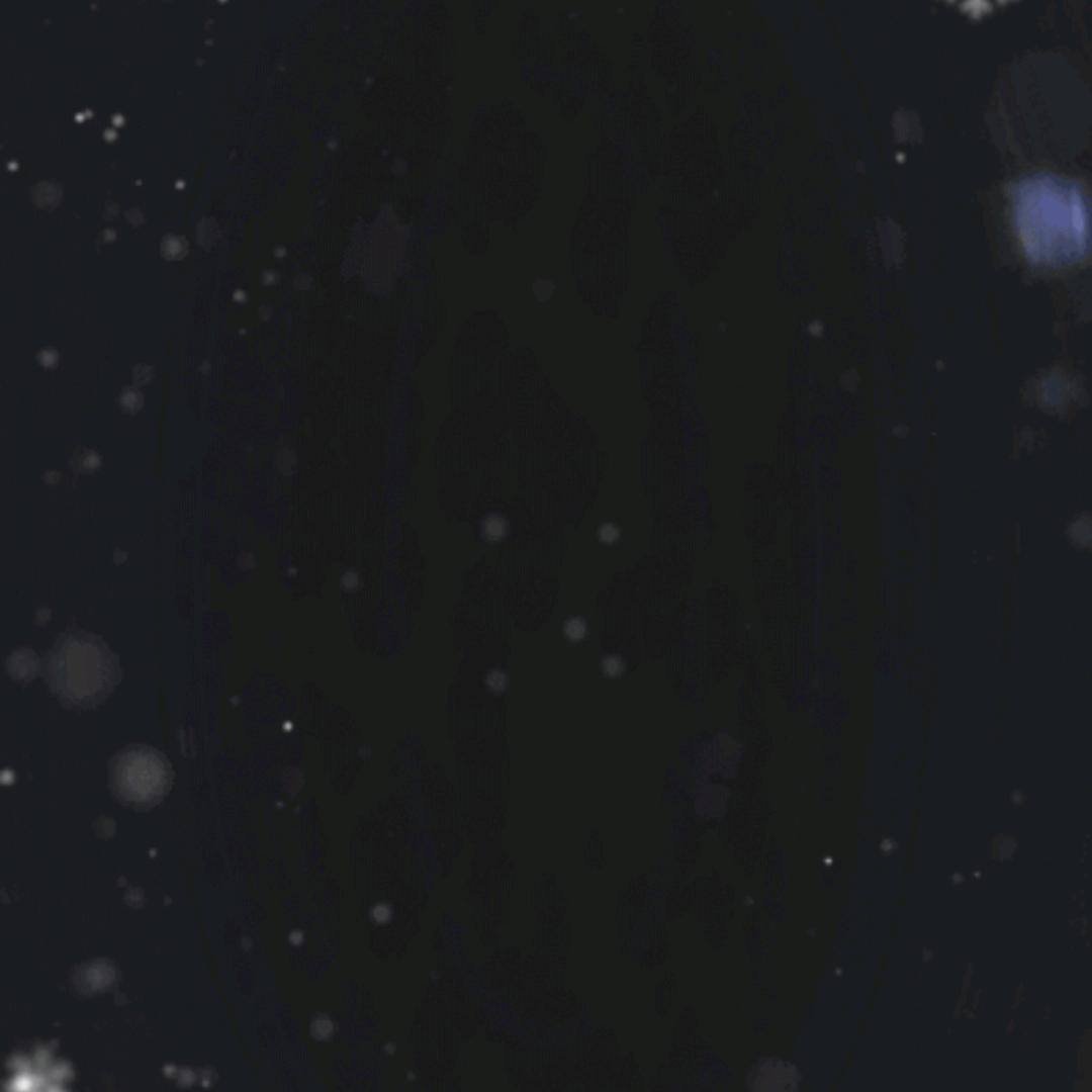 玲琴