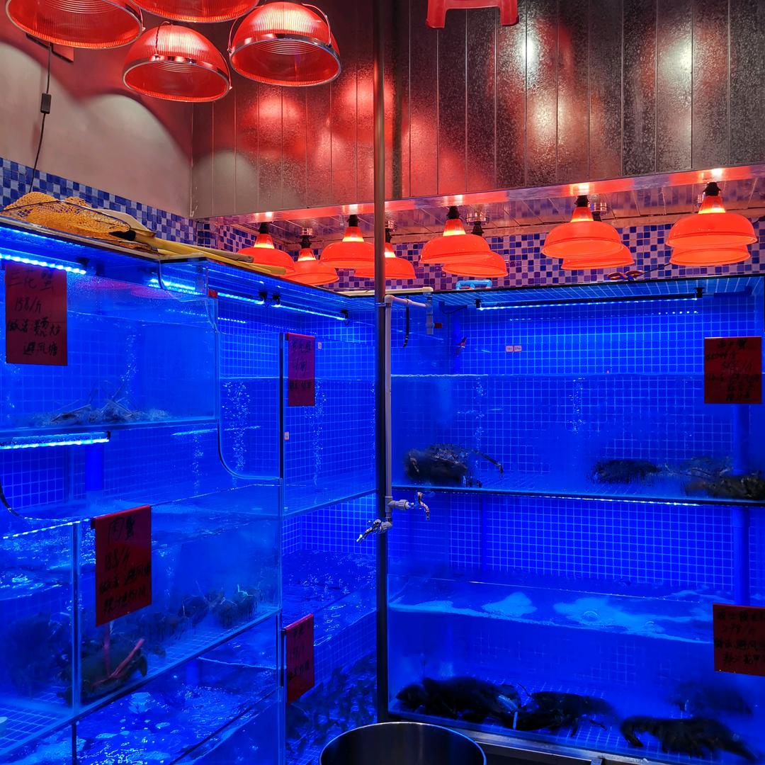 成都市千彩阳光水族用品店