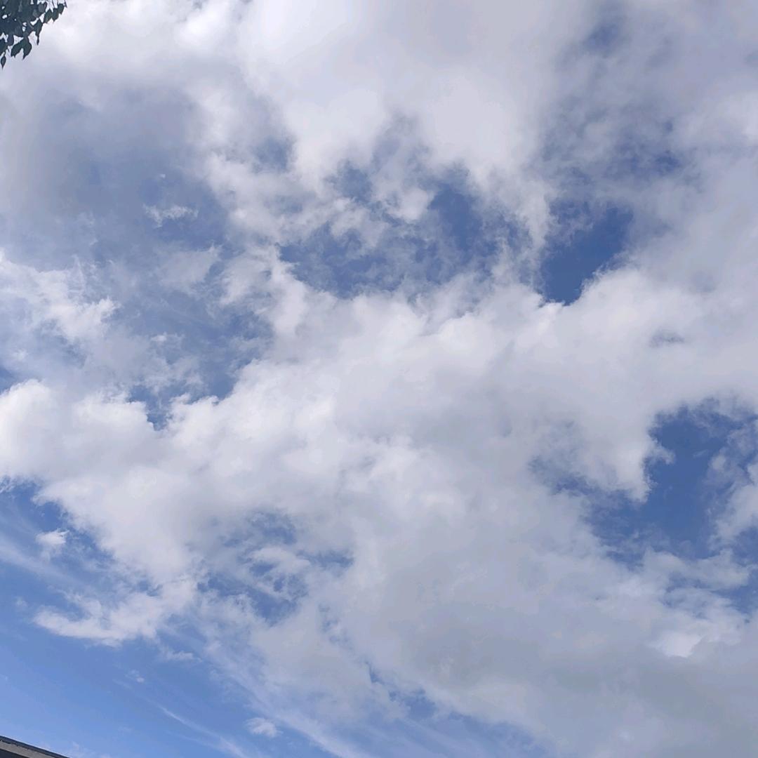 下页的@林