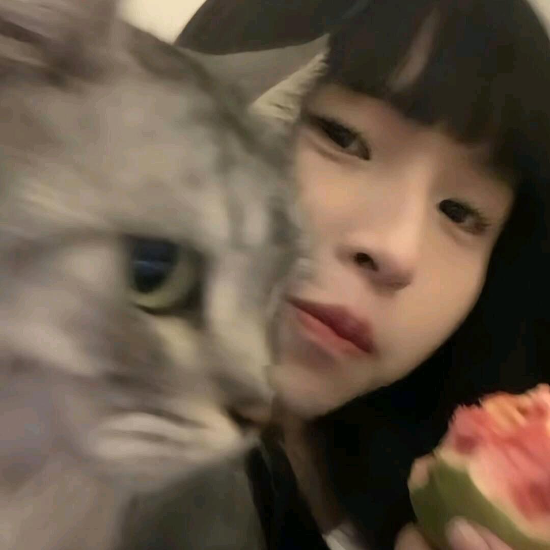 不爱吃月饼.