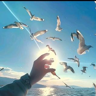 ᭄勇汪💞᪲ღ᭄💞᪲直前ღ᭄