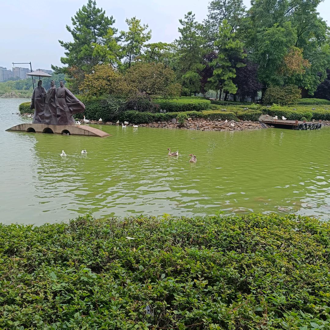 你是我的阳光I
