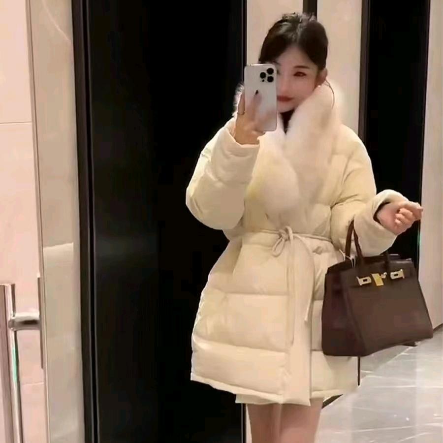 落泪的玫瑰