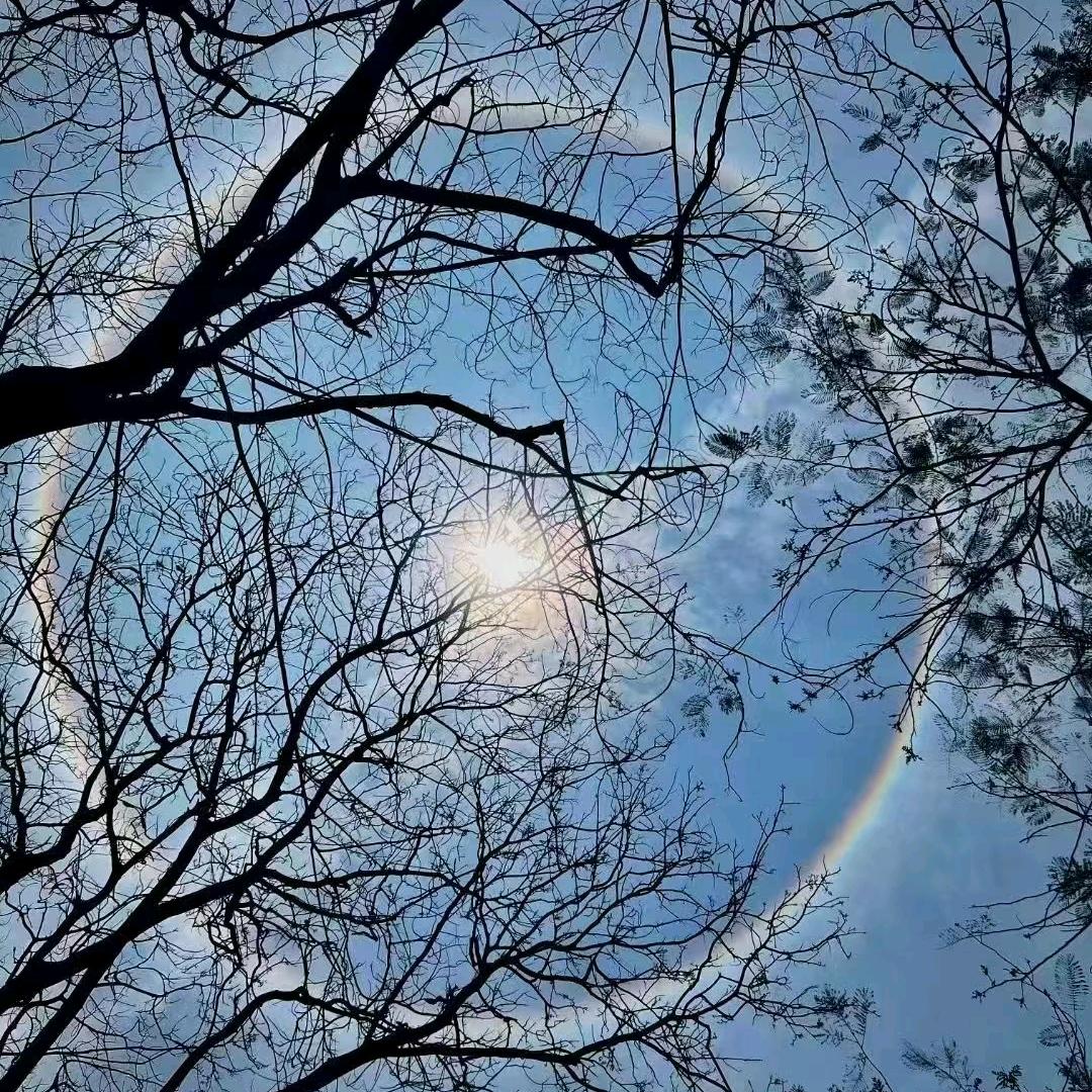 隐姓埋名（命中注定）