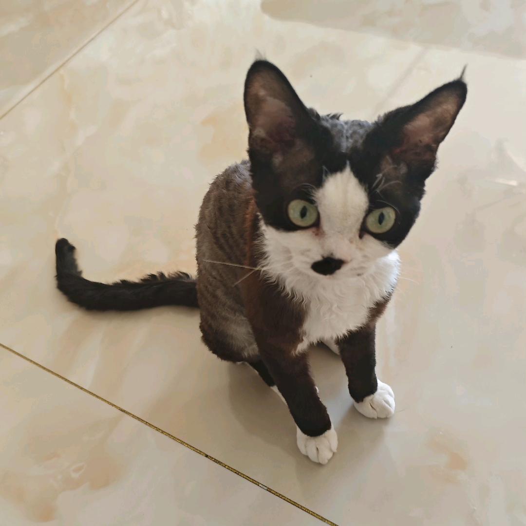 22222222222288888899