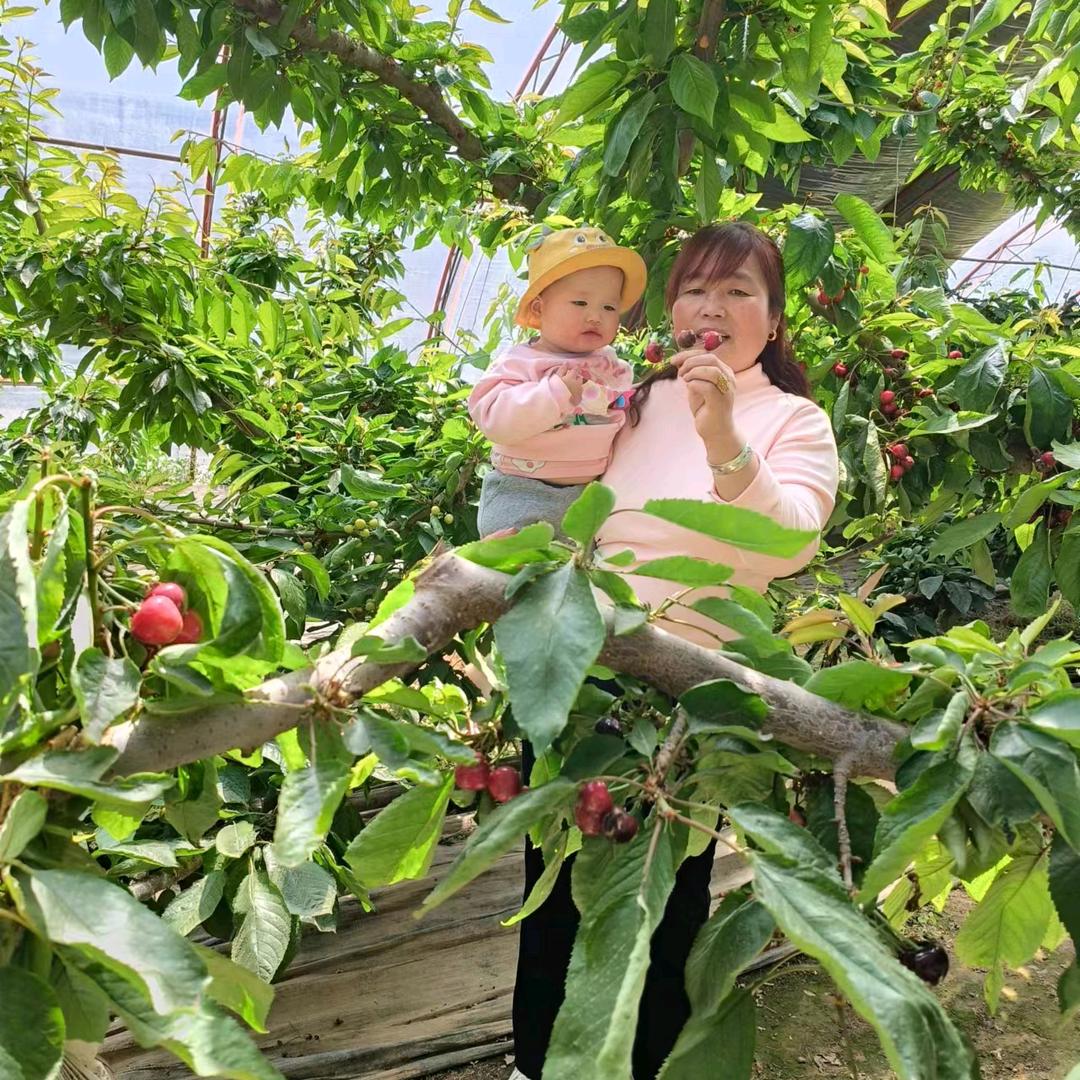 陌飞燕