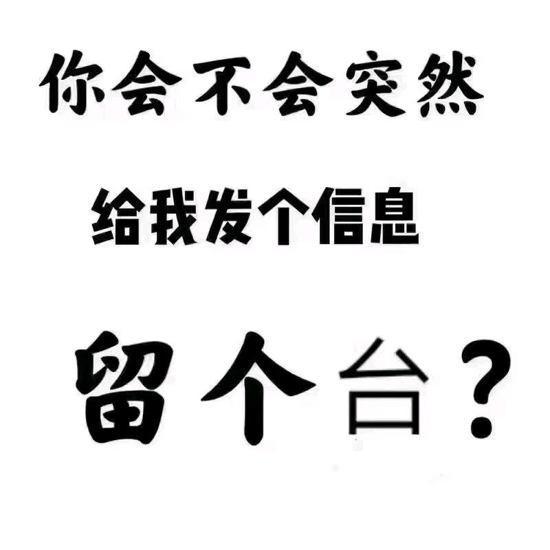 夜猫订台滴滴