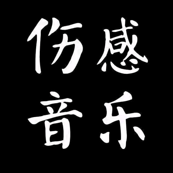 萍萍伤感歌曲（🉑购优盘）