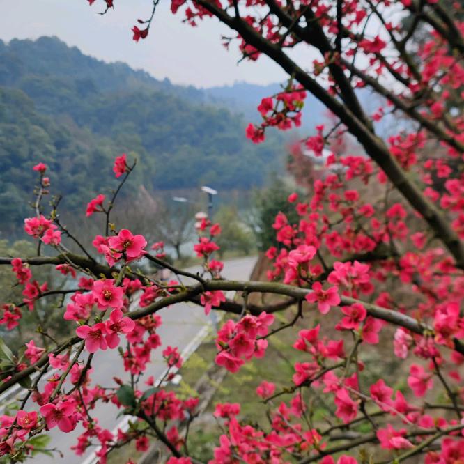 萍乡啥都干