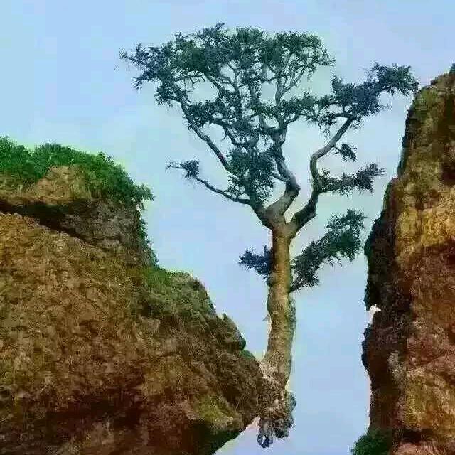 德州济南拼车🎆