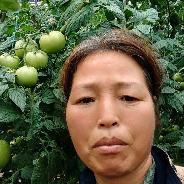 大棚姐