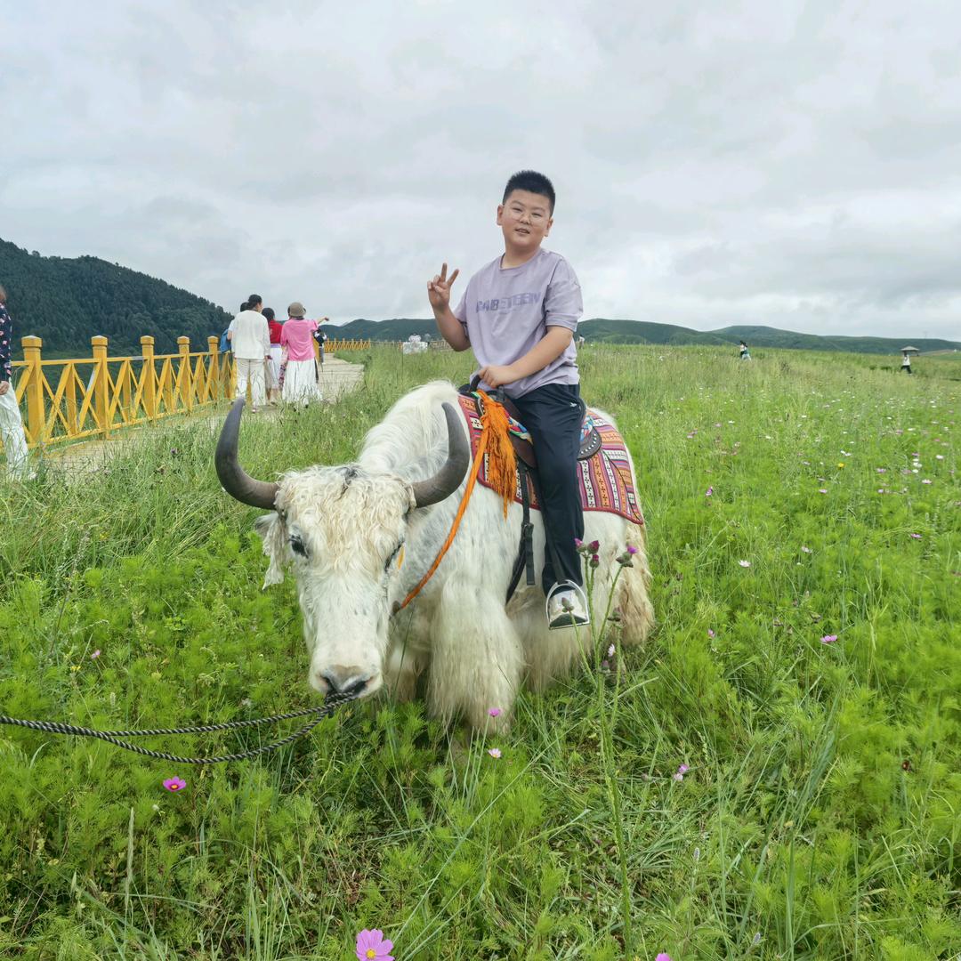 喝酒不喝醉，等于洗澡没搓背。