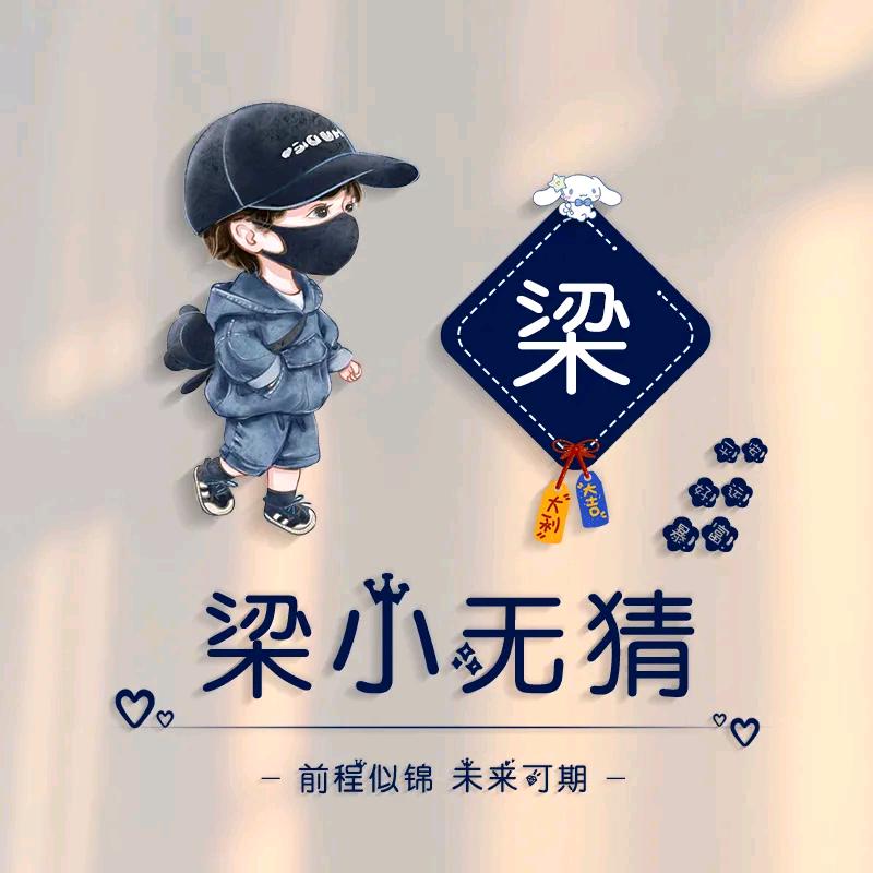 飞翔的梁梁