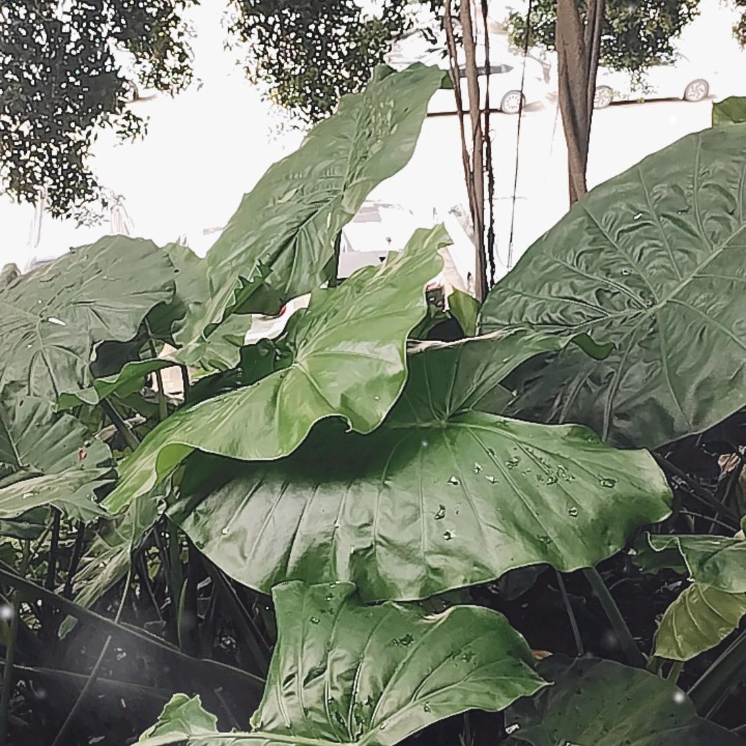 有你真好