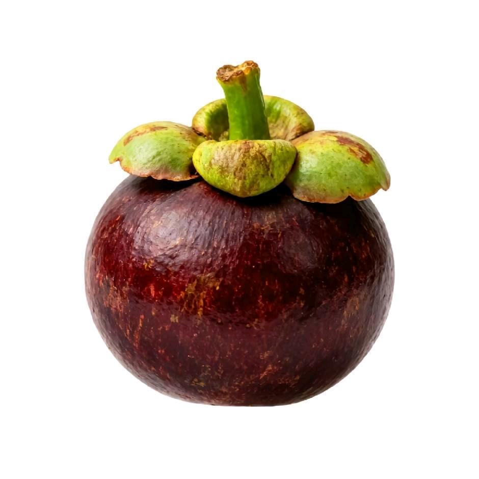 ── 展开 72条回复 ⌵